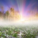 Enrichir sa vie grâce à la résilience